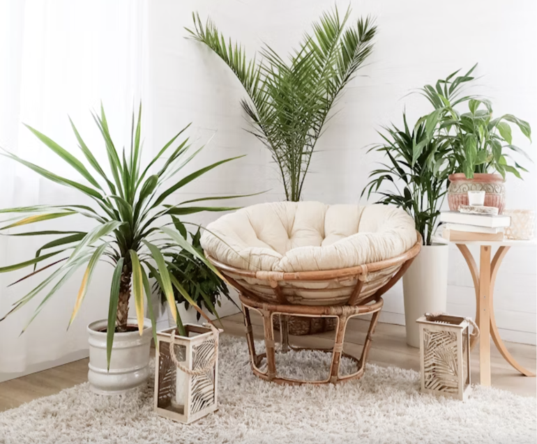 Soft Aesthetics Are Taking Over: Where Comfort Meets Culture