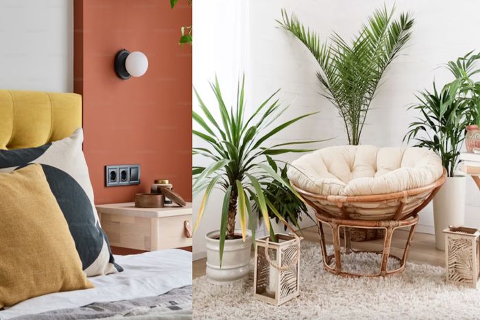 Soft aesthetics are taking over: Where comfort meets culture