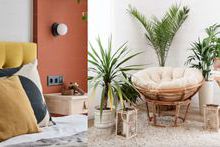 Soft aesthetics are taking over: Where comfort meets culture