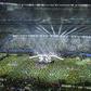 FIFA to introduce first-ever halftime show at 2026 World Cup final