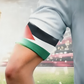 3 Palestinian FA officials denied Canada Visas ahead of April 30 FIFA Congress