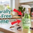 7 natural pest repellents you can use instead of chemicals