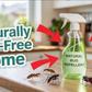 7 natural pest repellents you can use instead of chemicals