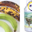 Plantain ripening claims at Madina market: What the FDA found and what consumers should know