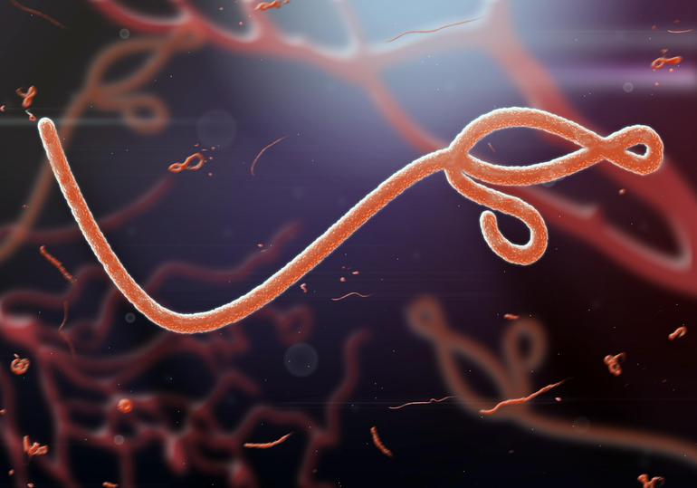 Ebola Virus