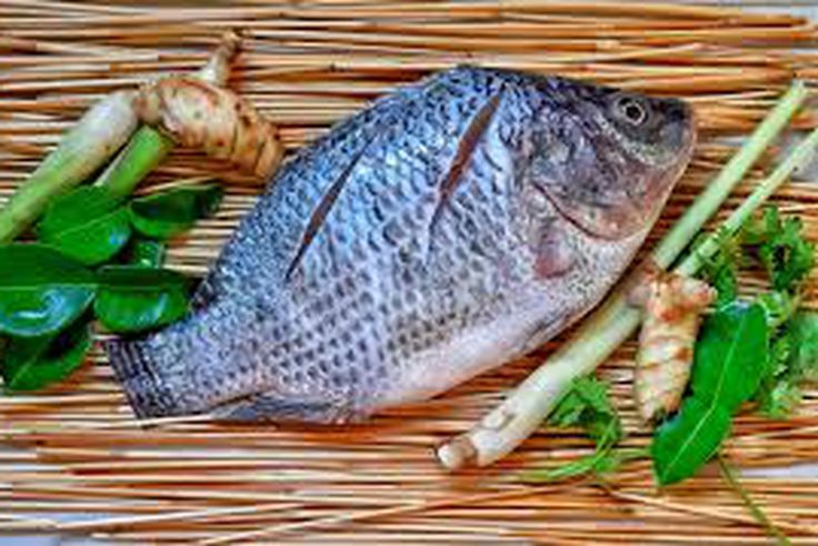 How Tilapia Supports Weight Management: 7 Important Health Benefits