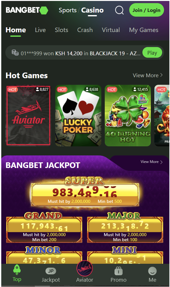 Football match crowd in Ghana, fans reacting to the live game