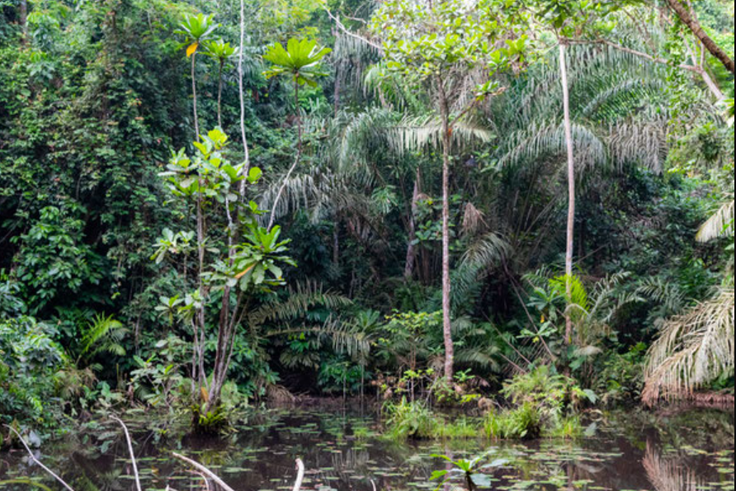 Top 10 hidden tourist sites in Ghana you probably didn't know existed