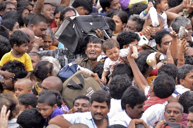 What to Do During a Stampede: Safety Tips for Detty December