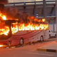 9 Dead including police officer in Libyan derby chaos with team bus set on fire