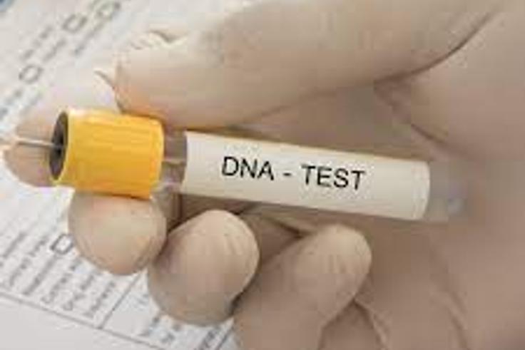 Countries With the Highest Paternity Fraud Rates – Global Statistics Explained