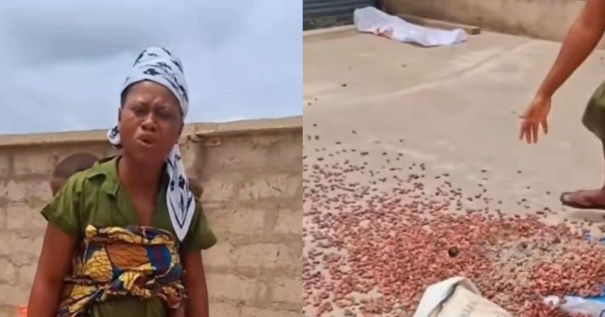 Woman threatens divorce after husband refuses to sell cocoa farm to illegal miners (video)