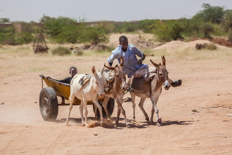 Children of Niger - Humanium