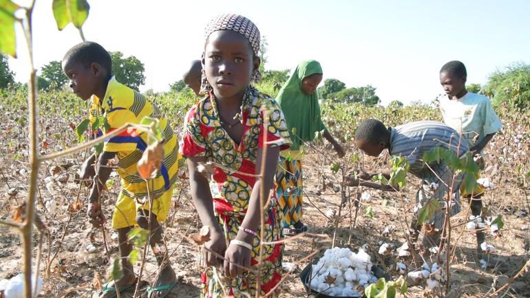 Against child labour on the cotton fields in Burkina Faso – Solidar Suisse