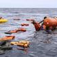 144 migrants from West Africa feared dead or missing while attempting sea crossings to Europe