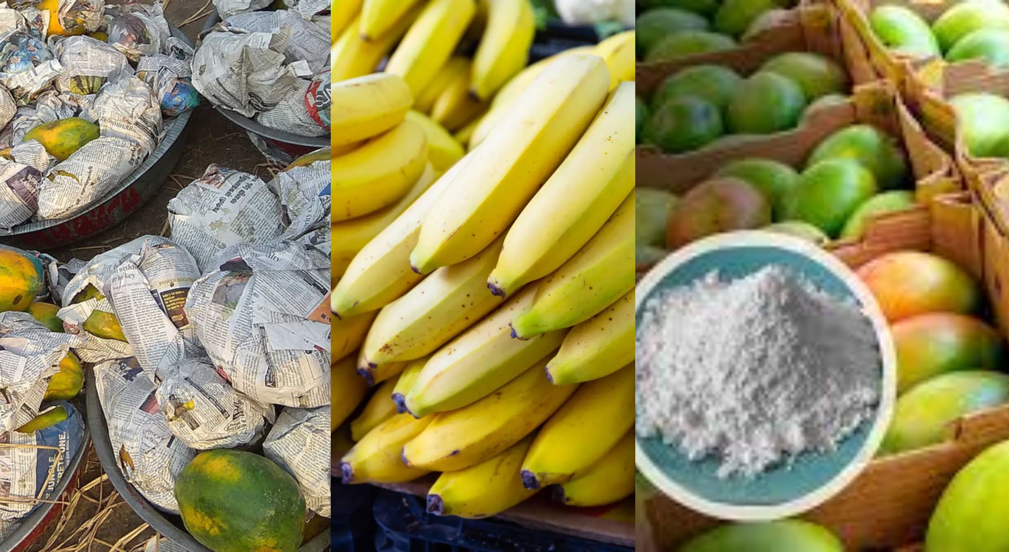 Sorry! Image not available at this time