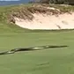 ‘I’d have dropped dead’ - Deadly snake terrifies golfers, fans at golf course (Video)