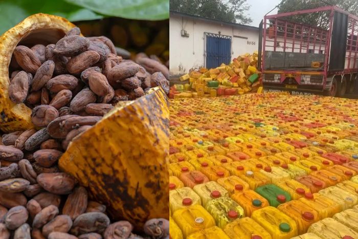 1,115 gallons of smuggled cocoa beans seized by Ghana Immigration at the border