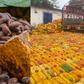 1,115 gallons of smuggled cocoa beans seized by Ghana Immigration at the border