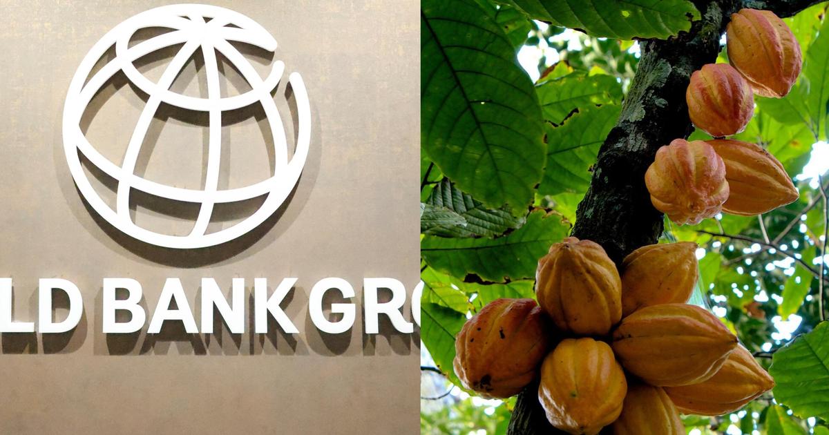 World Bank commits $75m to revive Ghana’s cocoa farms and fight against ...