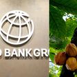 World Bank commits $75m to revive Ghana’s cocoa farms and fight against diseases