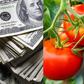 World Bank gives $20 million grant to Ghana to address looming tomato shortage