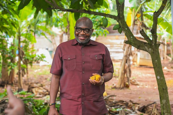 GH₵400 Cocoa Price Increment: Better Offer for Farmers or Still Inadequate?