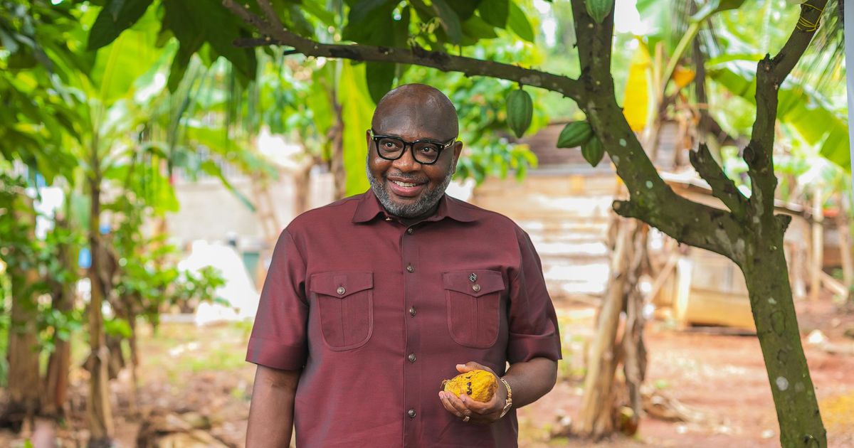 Ghana to raise $1 billion through cocoa-backed bonds to revive struggling sector