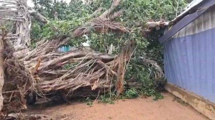 Woman, 2 children trapped indoors for hours after tree collapse in Wa (Video)