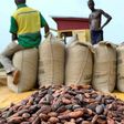 Which country pays cocoa farmers best in Africa? Ghana’s position revealed