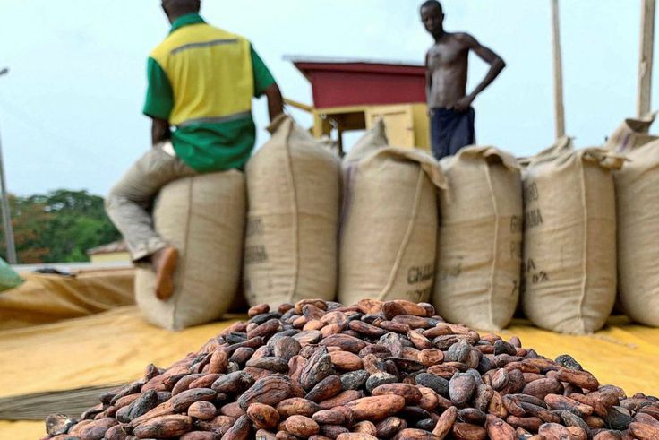 Which country pays cocoa farmers best in Africa? Ghana’s position revealed