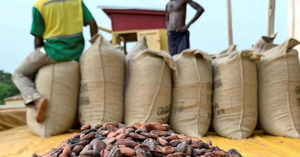 Which country pays cocoa farmers best in Africa? Ghana’s position ...