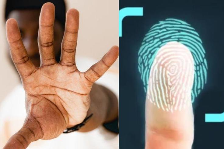 9 fascinating facts you probably didn't know about your fingerprints