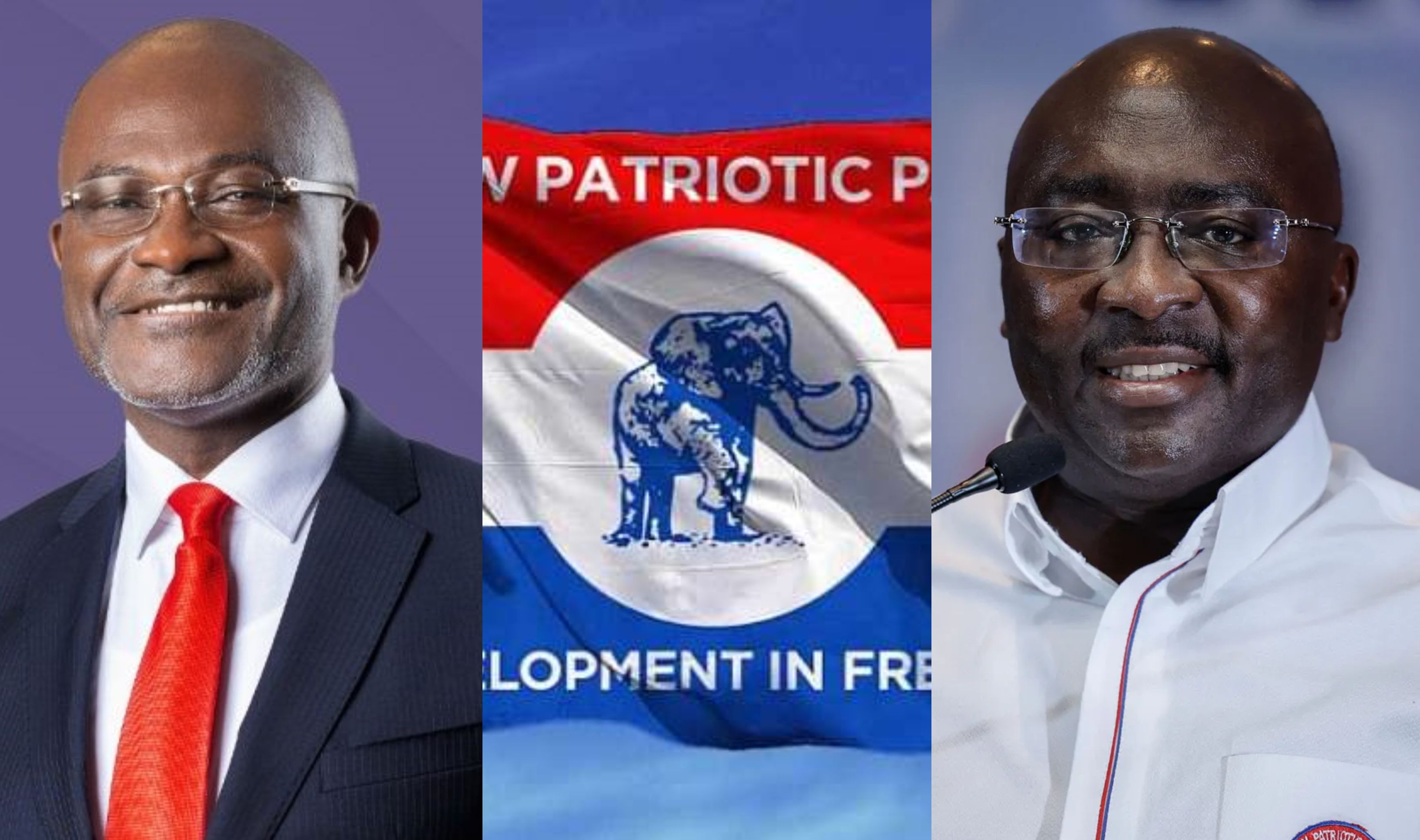 NPP flagbearer race: 4 prominent names that have emerged so far for 2028 election