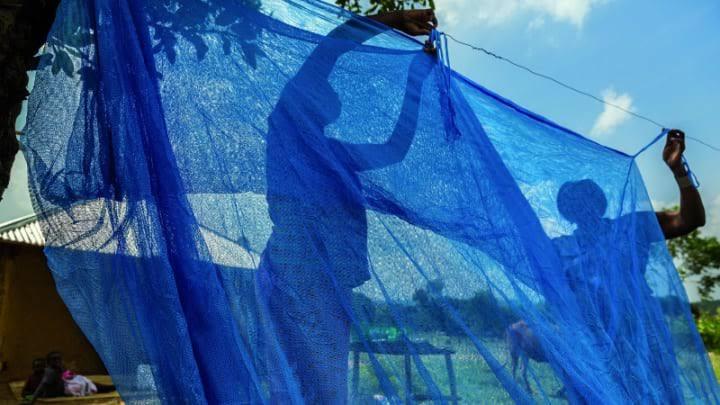 Addressing concerns about possible health effects, GHS said the nets had undergone extensive safety testing before being approved for use.