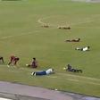 Bee attack halts football match in Brazil as players dive to the grass before 8-0 rout [VIDEO]