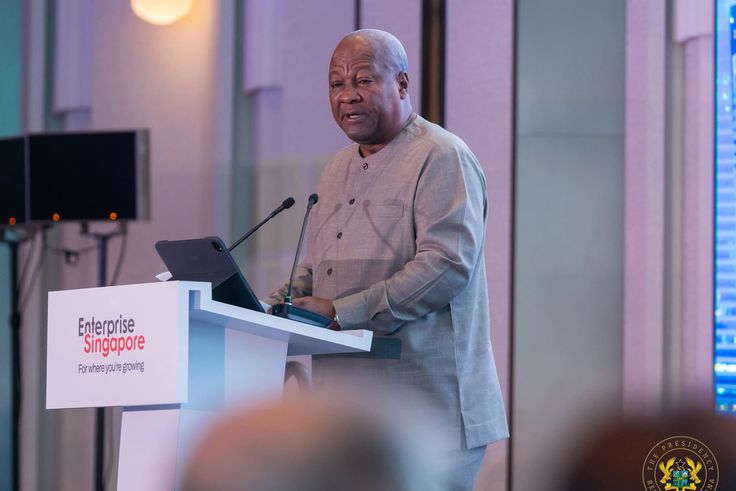 Africa-Singapore Forum: Pres. Mahama woos global investors with 24-hour economy