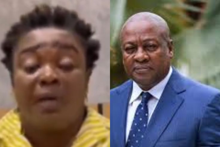 'We made you win'- Kumawood actors demand government positions from John Mahama