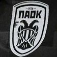 7 PAOK fans killed in brutal bus crash while travelling to Europa League match