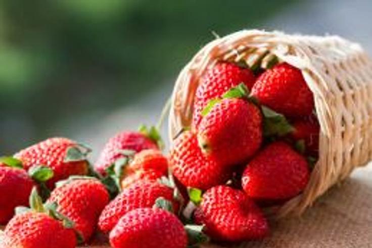 6 best foods to eat for mental clarity and focus