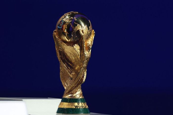 FIFA World Cup Trophy