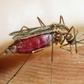 Malaria deaths in Ghana drops by 98% according to GHS