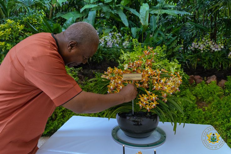 President Mahama honoured with orchid hybrid in Singapore