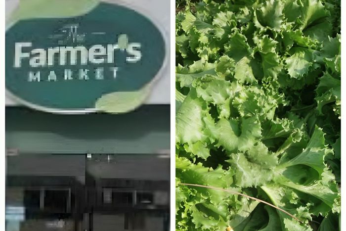 My horror experience at the Farmer's Market shop as a supplier