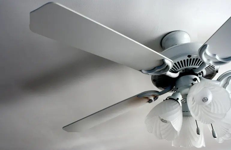 Electric fan