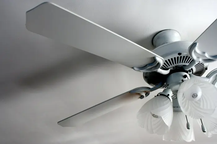 Electric fan