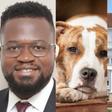 Executive Director of the Institute of Community Sustainability (ICS), Eric Jerry Aidoo (left), an image of a dog and cat (middle) and an image of the supreme court (right)