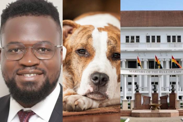 Executive Director of the Institute of Community Sustainability (ICS), Eric Jerry Aidoo (left), an image of a dog and cat (middle) and an image of the supreme court (right)