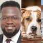 Executive Director of the Institute of Community Sustainability (ICS), Eric Jerry Aidoo (left), an image of a dog and cat (middle) and an image of the supreme court (right)
