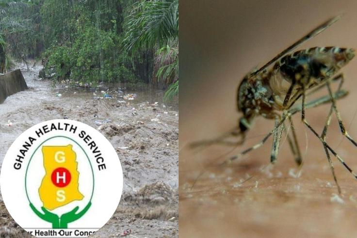 Health advisory: GHS cautions public over high risk of malaria, yellow and dengue fever during rainy season
